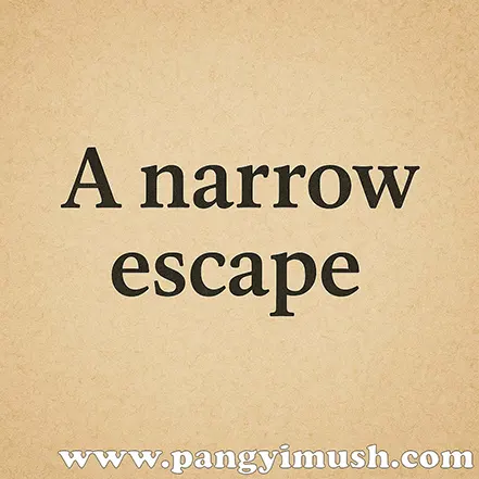 영어 표현 A narrow escape 텍스트 이미지
