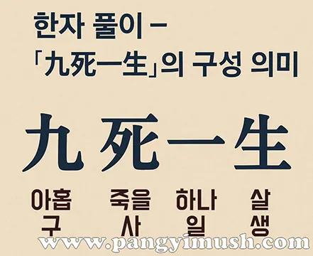九死一生의 한자 풀이를 시각적으로 표현한 이미지