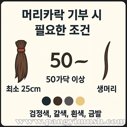 머리카락 기부 시 필요한 조건을 안내하는 인포그래픽