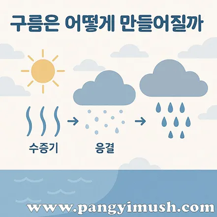 구름이 형성되는 과정을 단계별로 보여주는 일러스트 – 수증기, 응결, 구름 형성
