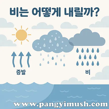 비가 내리는 과정을 단계별로 표현한 일러스트 – 증발, 구름 형성, 비