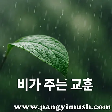 빗속에서 잎사귀 위로 떨어지는 빗방울을 담은 사진 – 비가 주는 교훈을 상징