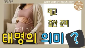 임신한 여성이 배를 감싸고 있으며 ‘태명의 의미’ 문구가 들어간 썸네일 이미지