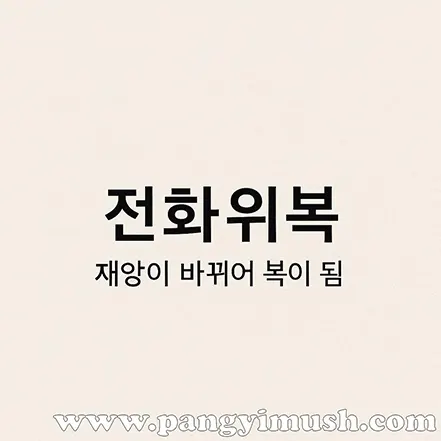 전화위복 – 재앙이 바뀌어 복이 됨이라는 문구가 적힌 단순하고 깔끔한 디자인 이미지
