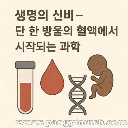 생명의 신비와 과학을 상징하는 혈액, DNA, 태아 일러스트