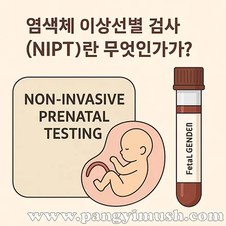 염색체 이상선별 검사(NIPT)를 설명하는 일러스트 이미지