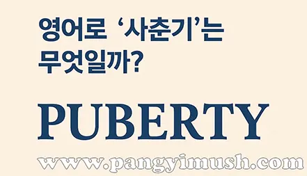 영어로 사춘기를 표현한 교육용 이미지