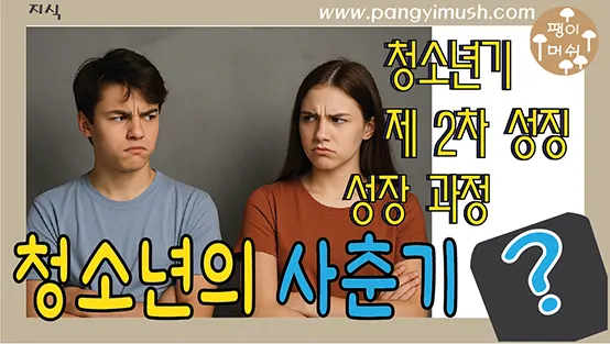 You are currently viewing 사춘기란 무엇일까? – 의미부터 호르몬 변화, 감정 변화까지 완벽 해설