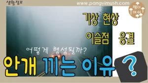 안개 끼는 이유를 설명하는 이미지 – 도로 위 차량 불빛이 안개 속에 비치는 모습과 ‘기상 현상, 이슬점, 응결’ 문구가 포함된 썸네일