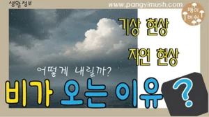 ‘비가 오는 이유’라는 제목의 썸네일 이미지 – 구름과 바다 위로 떨어지는 빗방울이 보이는 장면