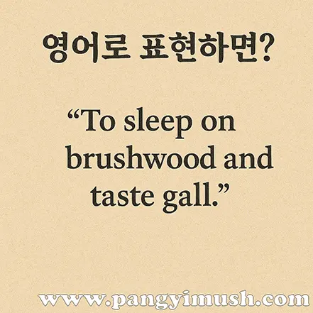 와신상담의 영어 표현을 보여주는 일러스트 – “To sleep on brushwood and taste gall.”