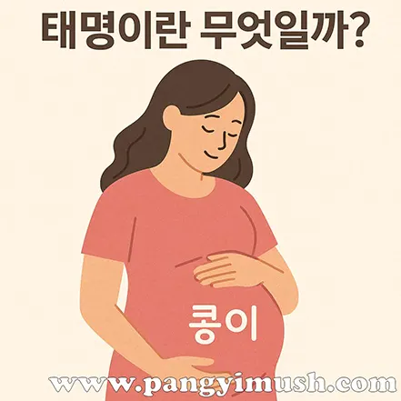 임신한 여성이 배를 감싸며 ‘태명이란 무엇일까?’ 문구가 있는 일러스트