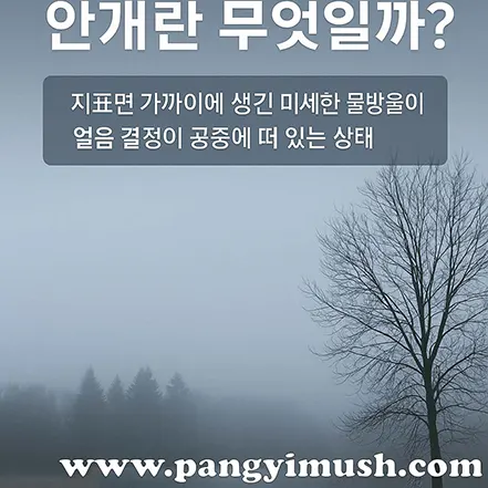 안개란 무엇인지 설명하는 이미지 – 나무와 숲 위로 안개가 낀 풍경 배경에 정의 문구가 적힌 장면