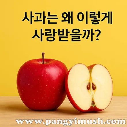 노란 배경 위에 빨간 사과와 반으로 자른 사과가 놓인 사진, 상단에는 ‘사과는 왜 이렇게 사랑받을까?’라는 문구가 적혀 있음
