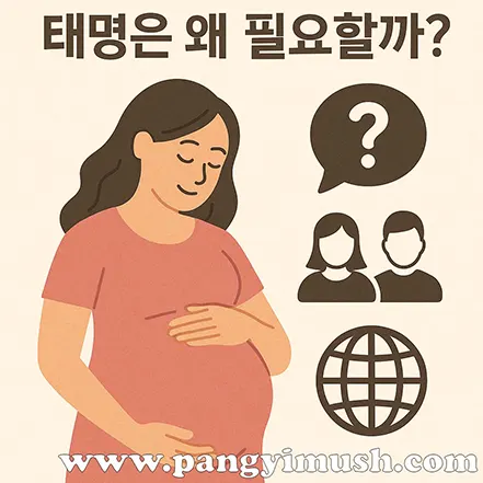 ‘태명은 왜 필요할까?’ 문구와 함께 임신한 여성이 배를 감싸고 있는 따뜻한 일러스트