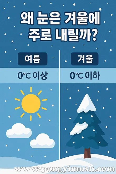 여름과 겨울의 온도 차이를 비교하며 눈이 겨울에 내리는 이유를 설명하는 일러스트