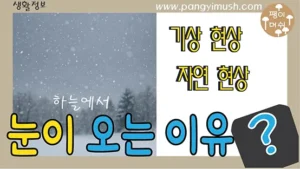 눈이 오는 이유를 설명하는 블로그 썸네일 – 하늘에서 내리는 눈과 ‘눈이 오는 이유’ 문구가 있는 이미지