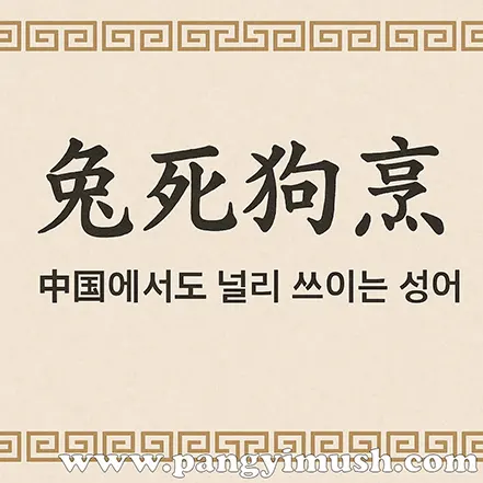 ‘兔死狗烹’ 한자와 ‘중국에서도 널리 쓰이는 성어’ 문구가 적힌 이미지 – 토사구팽 고사성어의 중국 사용 예시