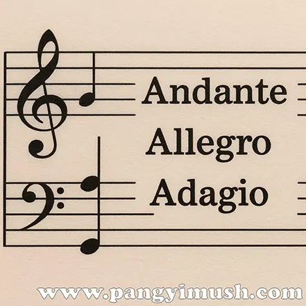Andante, Allegro, Adagio 빠르기 표시가 적힌 악보 클로즈업 이미지