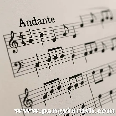 Andante 악보가 인쇄된 오선지의 근접 촬영 이미지