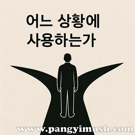 갈림길 앞에 서 있는 사람의 실루엣으로 선택과 본질의 판단을 상징하는 이미지