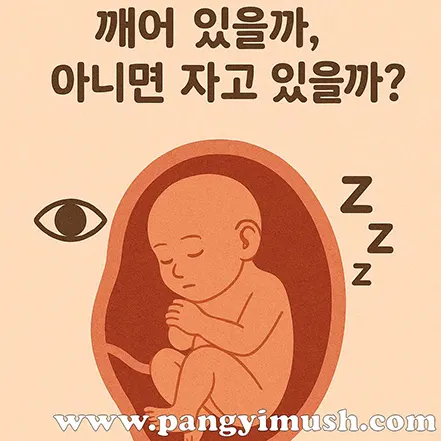 자궁 속에서 태아가 잠들어 있는 모습을 표현한 따뜻한 일러스트