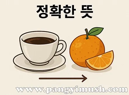 쓴 커피와 달콤한 오렌지를 대비시켜 고진감래의 정확한 뜻을 표현한 일러스트 이미지