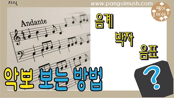 Read more about the article 악보 보는 방법 완전 기초 – 도레미파솔라시도부터 박자, 빠르기, 음표까지 한눈에 정리