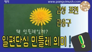 Read more about the article 일편단심 민들레의 의미와 유래 – 왜 해바라기가 아닌 민들레일까?