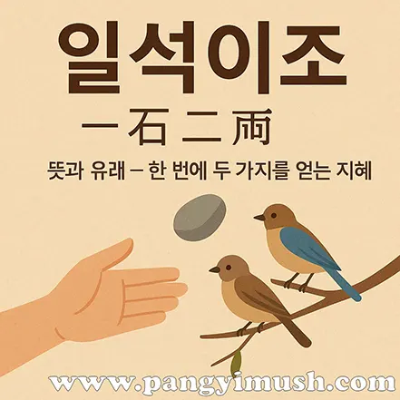 일석이조 한자와 함께 손에서 던져지는 돌과 두 마리 새를 그린 일러스트로 일석이조의 뜻과 유래를 나타낸 이미지