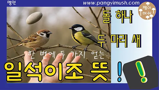 Read more about the article 일석이조 뜻과 유래 완전 해설 – 한 번에 두 가지를 얻는 지혜