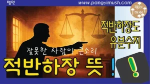 적반하장과 적반하장도 유분수지 뜻을 설명하는 썸네일 이미지로, 실루엣 인물이 큰소리치는 장면과 저울 형상이 함께 배치된 디자인