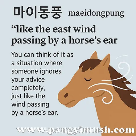 마이동풍을 영어권 사람에게 설명하는 영어 번역 가이드 일러스트