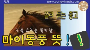 Read more about the article 마이동풍 뜻과 유래 — 충고를 흘려듣는 사람을 비유한 고사성어 완전 정리