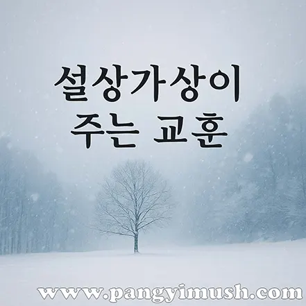 설상가상이 주는 교훈을 표현한 겨울 풍경 이미지 – 눈 내리는 들판에서 홀로 서 있는 나무와 섹션 제목 텍스트