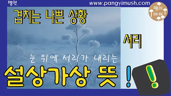 Read more about the article 설상가상 뜻, 유래, 쓰임새 완벽 정리 – 눈 덮인 위에 서리가 내린다는 말의 참 의미