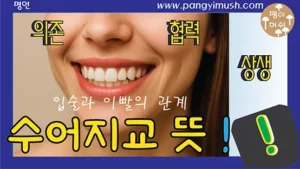 Read more about the article 수어지교(唇齒之交) 뜻·유래·사용법 완벽 정리 – 상생과 협력의 상징