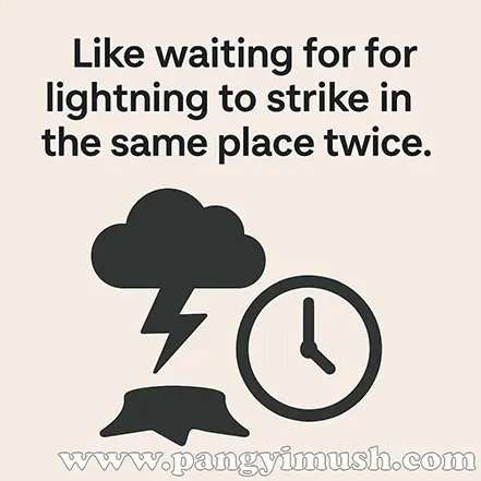 'Like waiting for lightning to strike in the same place twice.'라는 문구와 함께 번개, 그루터기, 시계를 상징하는 아이콘이 포함된 이미지.
