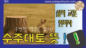 Read more about the article 수주대토(守株待兔) 뜻과 유래 – 운에만 의존하지 말라는 깊은 교훈