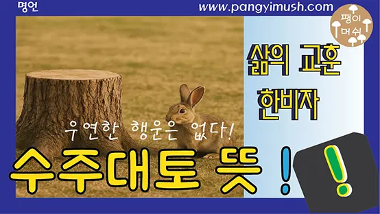 Read more about the article 수주대토(守株待兔) 뜻과 유래 – 운에만 의존하지 말라는 깊은 교훈