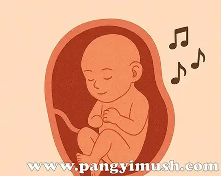 자궁 속 태아가 눈을 감고 미소를 지으며 음악을 느끼는 따뜻한 일러스트