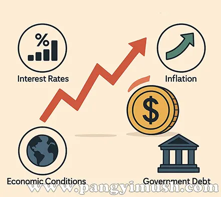 금리, 인플레이션, 경제 상황, 정부 부채 등 환율 변동 요인을 설명하는 경제 일러스트