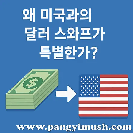 달러 지폐 묶음과 미국 국기 아이콘으로 ‘왜 미국과의 달러 스와프가 특별한가’를 표현한 이미지