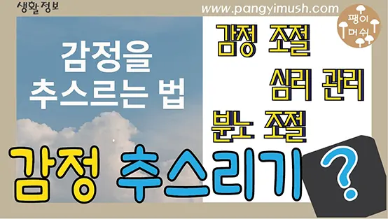 You are currently viewing 감정을 추스르는 법 – 갈등 속에서도 마음을 지키는 평정의 기술