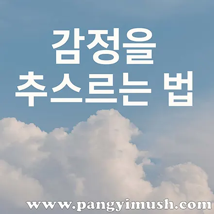 푸른 하늘과 하얀 구름을 배경으로 ‘감정을 추스르는 법’ 문구가 적힌 평온한 분위기의 이미지.