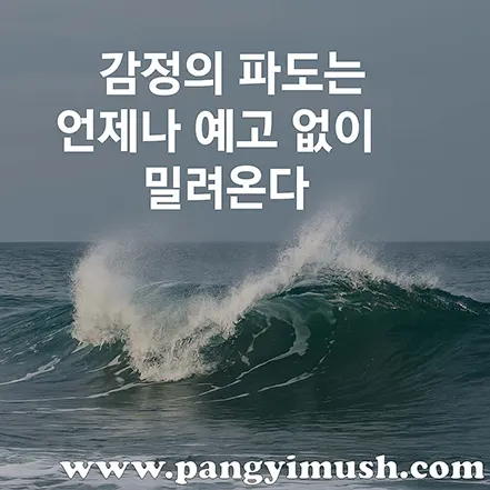 거센 파도가 바다 위로 밀려오는 모습으로, 예고 없이 밀려드는 감정의 변화를 상징하는 이미지.