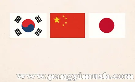 천신만고가 한국·중국·일본에서도 사용되는지 묻는 문구와 세 나라의 국기 이미지