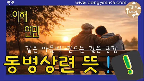 You are currently viewing 동병상련 뜻과 유래 – 같은 아픔이 만드는 깊은 공감