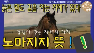 노마지지 뜻을 설명하는 블로그 썸네일 이미지로, 들판을 달리는 말과 함께 '늙은 말도 길을 아는 지혜가 있다'라는 문구가 강조된 디자인.