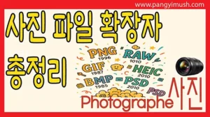 PNG, RAW, JPG, GIF, BMP, PSD, HEIC 등 사진 파일 확장자를 한눈에 정리한 사진 파일 형식 설명용 썸네일 이미지